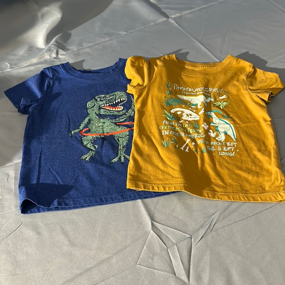 Cat & Jack Toddler boys dinosaur short sleeve shirts
